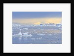 Ice Floating in the Southern Ocean by Anonymous