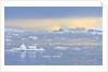 Ice Floating in the Southern Ocean by Anonymous