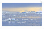Ice Floating in the Southern Ocean by Anonymous