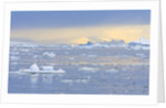 Ice Floating in the Southern Ocean by Anonymous