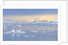 Ice Floating in the Southern Ocean by Anonymous