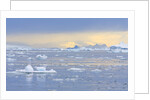 Ice Floating in the Southern Ocean by Anonymous