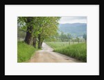 Rural Road in Cades Cove by Anonymous