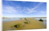 Sandy Beach at Low Tide, Valdez Peninsula by Anonymous