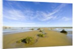 Sandy Beach at Low Tide, Valdez Peninsula by Anonymous