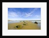 Sandy Beach at Low Tide, Valdez Peninsula by Anonymous