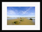 Sandy Beach at Low Tide, Valdez Peninsula by Anonymous