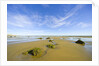 Sandy Beach at Low Tide, Valdez Peninsula by Anonymous
