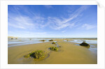 Sandy Beach at Low Tide, Valdez Peninsula by Anonymous