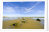 Sandy Beach at Low Tide, Valdez Peninsula by Anonymous