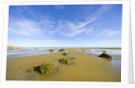 Sandy Beach at Low Tide, Valdez Peninsula by Anonymous