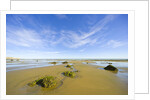 Sandy Beach at Low Tide, Valdez Peninsula by Anonymous