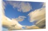 Cumulus and Lenticular Clouds at Sunrise by Anonymous