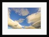 Cumulus and Lenticular Clouds at Sunrise by Anonymous