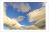 Cumulus and Lenticular Clouds at Sunrise by Anonymous