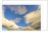 Cumulus and Lenticular Clouds at Sunrise by Anonymous