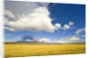 Cumulus Clouds Over Golden Pampas in Chile by Anonymous