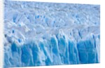 Rough Surface of Perito Moreno Glacier by Anonymous