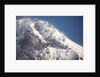 Mount Hood by Anonymous