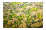 Green Agricultural Fields in Chile by Anonymous