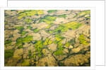 Green Agricultural Fields in Chile by Anonymous