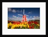 Windmill in Tulip Field by Anonymous
