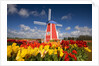 Windmill in Tulip Field by Anonymous