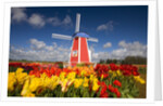 Windmill in Tulip Field by Anonymous