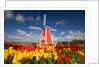 Windmill in Tulip Field by Anonymous
