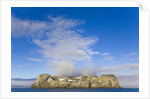 Morning Fog Over Small Rocky Island at South Shetland Islands by Anonymous