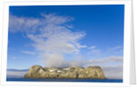 Morning Fog Over Small Rocky Island at South Shetland Islands by Anonymous