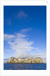 Morning Fog Over Small Rocky Island at South Shetland Islands by Anonymous