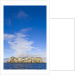 Morning Fog Over Small Rocky Island at South Shetland Islands by Anonymous