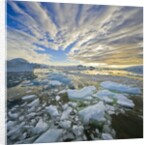 Bergy Bits in Holtedehl Bay Under an Evening Sky by Anonymous