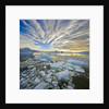 Bergy Bits in Holtedehl Bay Under an Evening Sky by Anonymous