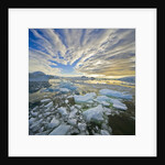 Bergy Bits in Holtedehl Bay Under an Evening Sky by Anonymous