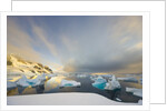 Evening Light on Mountains and Icebergs on Antarctic Peninsula by Anonymous