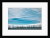 Stranded Iceberg in Shallow Bay Near Boothe Island by Anonymous