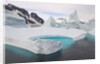 Stranded Icebergs in Shallow Bay Near Boothe Island by Anonymous