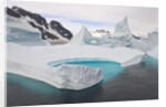 Stranded Icebergs in Shallow Bay Near Boothe Island by Anonymous