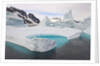 Stranded Icebergs in Shallow Bay Near Boothe Island by Anonymous