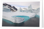 Stranded Icebergs in Shallow Bay Near Boothe Island by Anonymous
