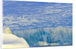 Wiggins Glacier Descending into Sea by Anonymous