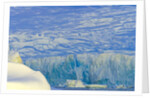 Wiggins Glacier Descending into Sea by Anonymous
