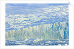 Wiggins Glacier Descending into Sea by Anonymous