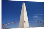 Washington Monument by Anonymous