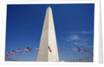 Washington Monument by Anonymous