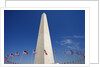 Washington Monument by Anonymous