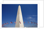Washington Monument by Anonymous