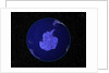 Dark View of Earth Centered on Antarctica by Anonymous